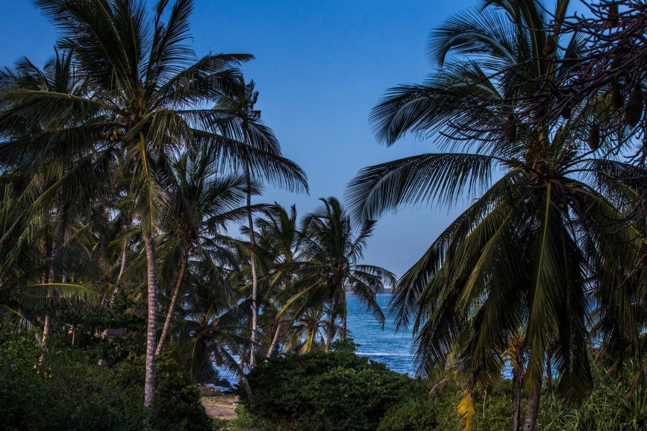Msambweni Beach House Villa Eksteriør bilde
