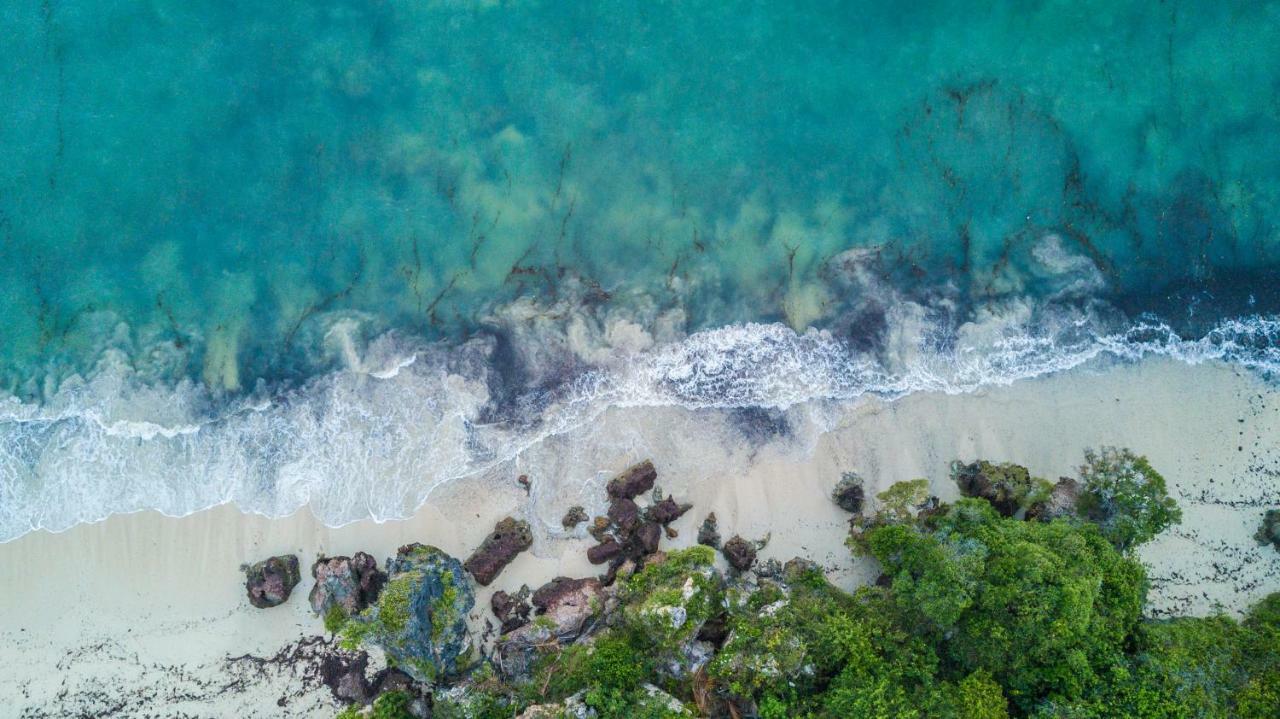 Msambweni Beach House Villa Eksteriør bilde